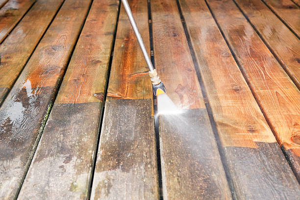 Best Restaurant Pressure Washing  in Mount Morris, MI